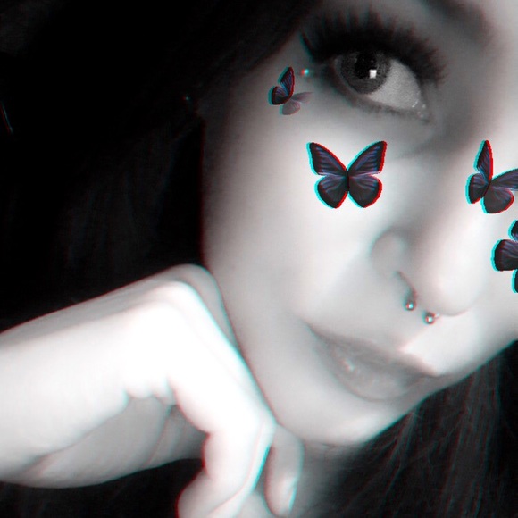 Meet your Posher, Misty - Picture 1 of 1